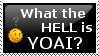 What the Hell is Yoai?